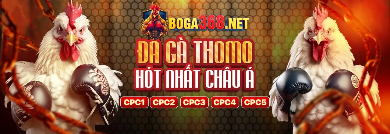 Sân Chọi Gà Trực Tuyến 82vn Nổ Hũ