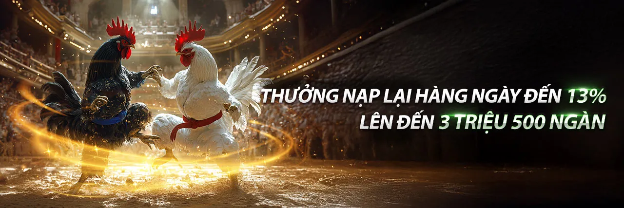 Hình ảnh đá gà trực tuyến kịch tính tại 82vn Nổ Hũ